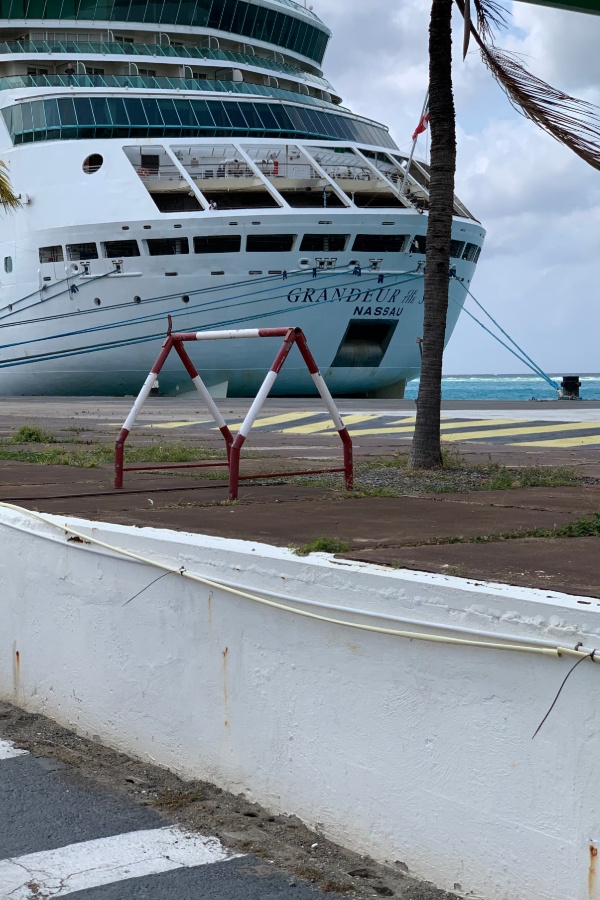 Cruise Brothers Travel Agent Ileana baker